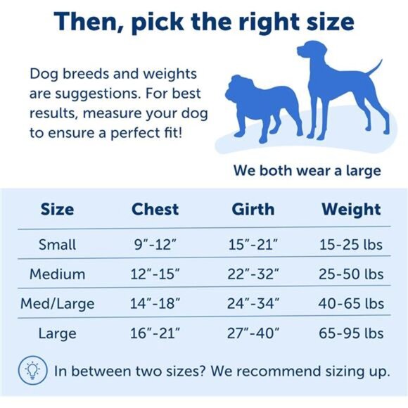 Dog Harness, No Pull Harness, Stop Pulling, Great For Walking and Training - Picture 5 of 7